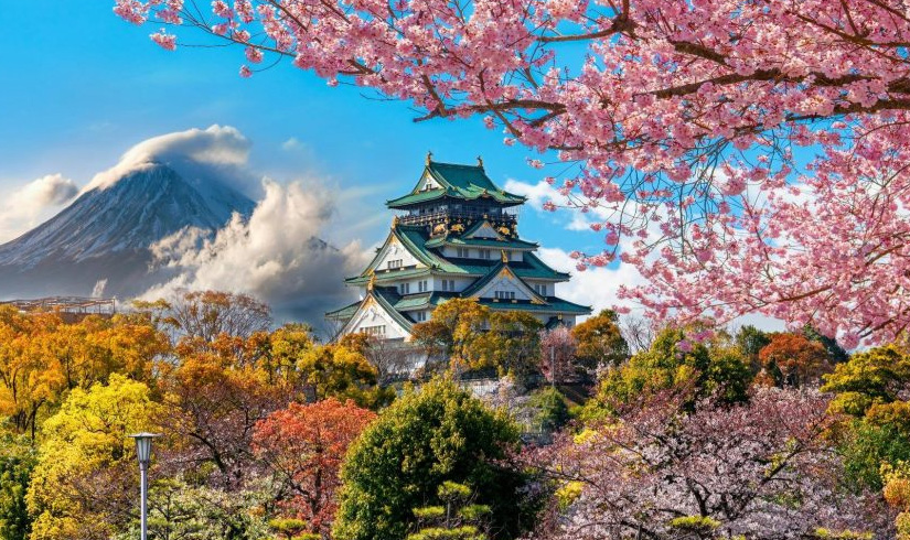 Japan Cherry Blossom Tour Package